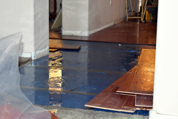 Professional Basement Flood Cleanup technician working in Woodbridge, VA